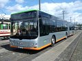 Trammoldie   026